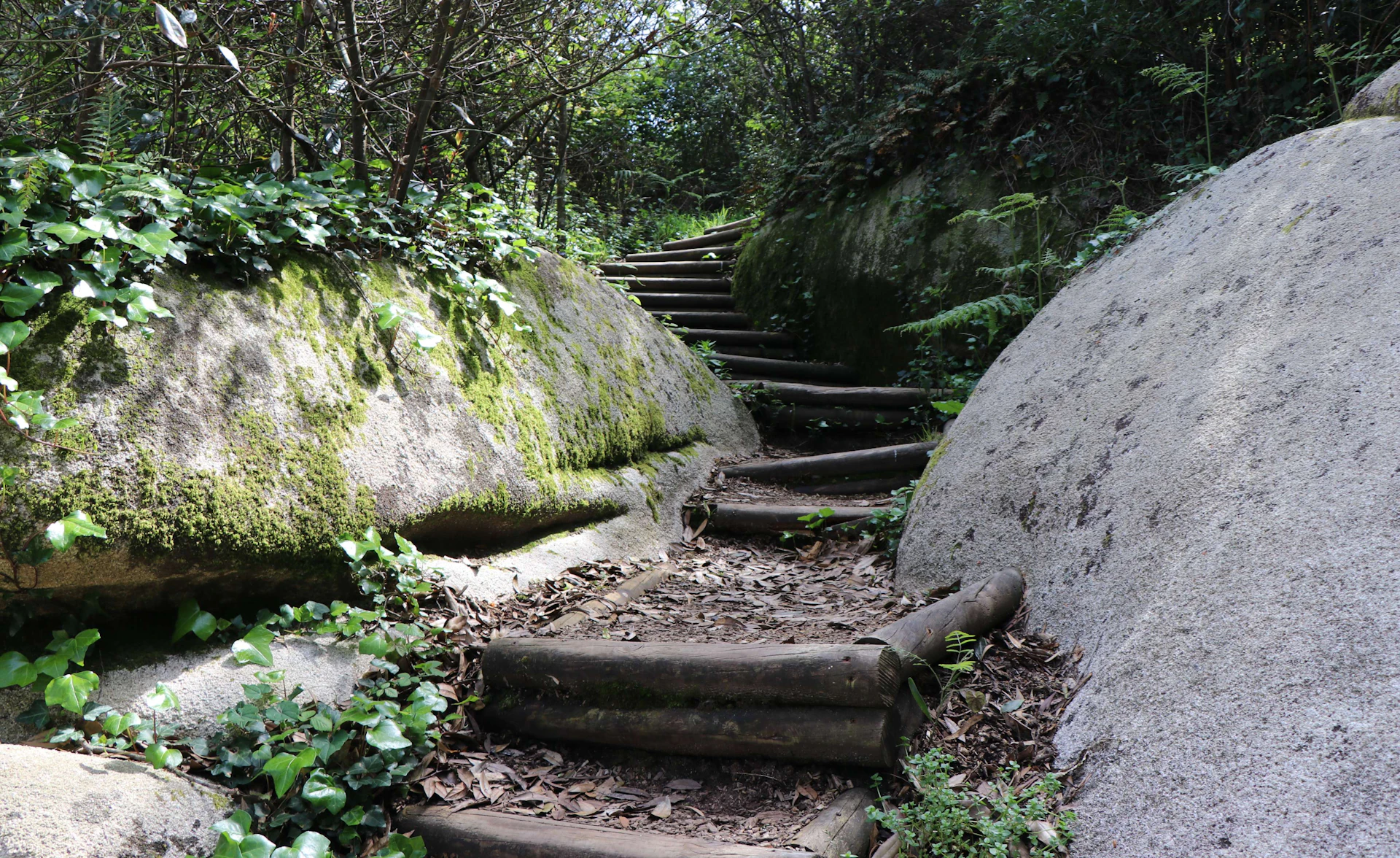 Highlights of Sintra
