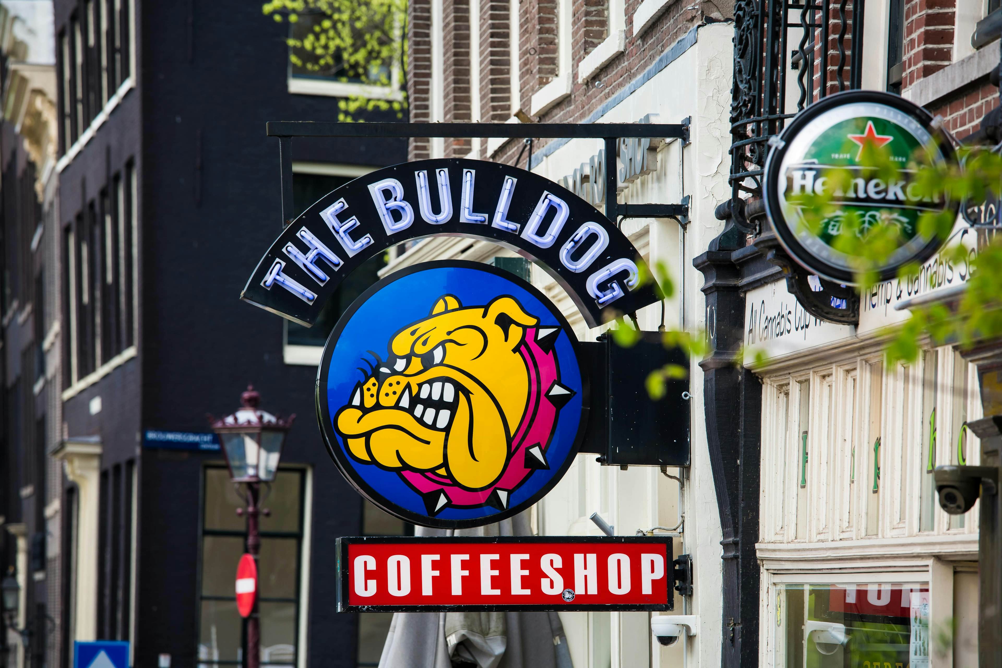 Coffeeshops Amsterdam: The High Life image