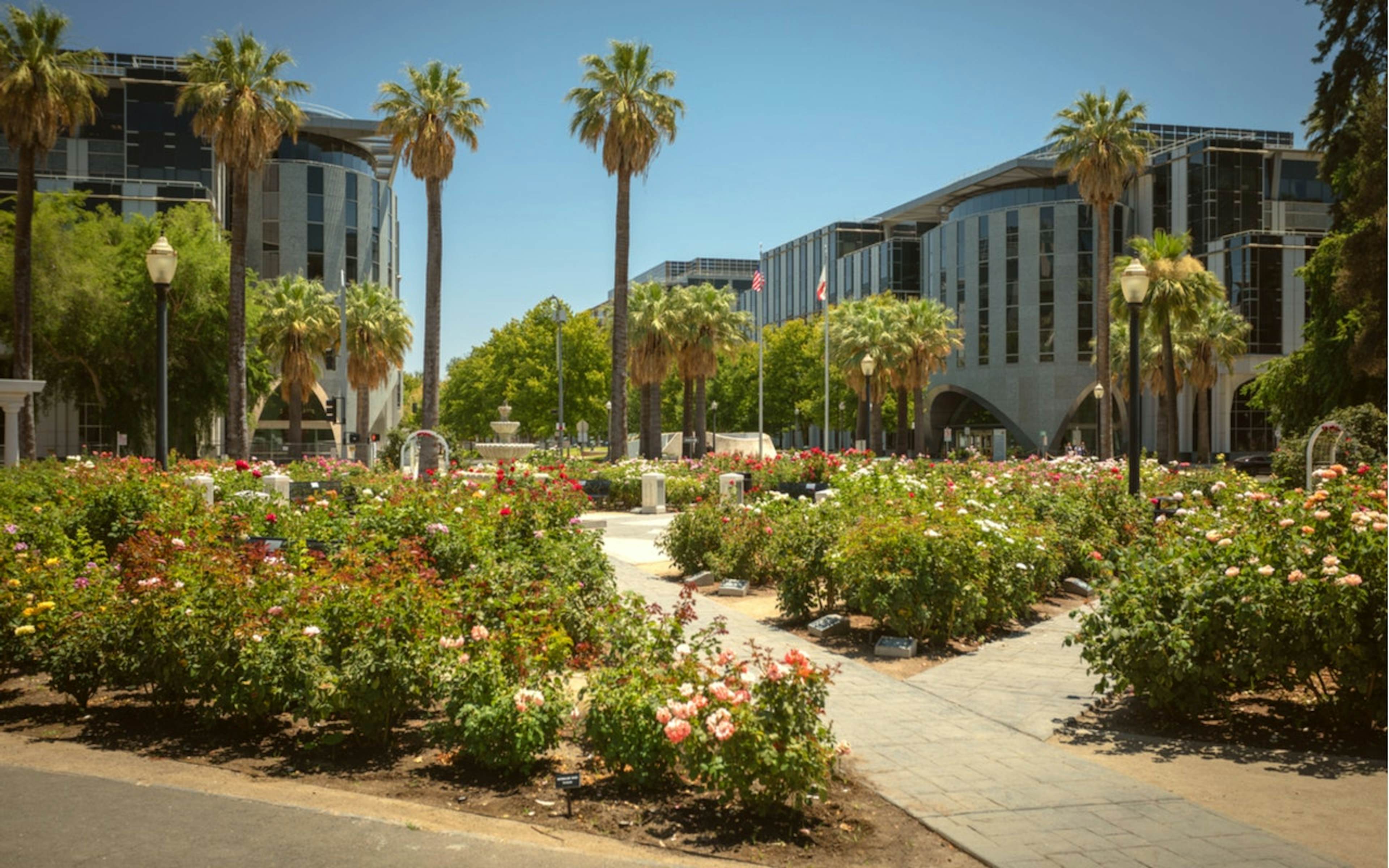 State Capitol Park World Peace Rose Garden