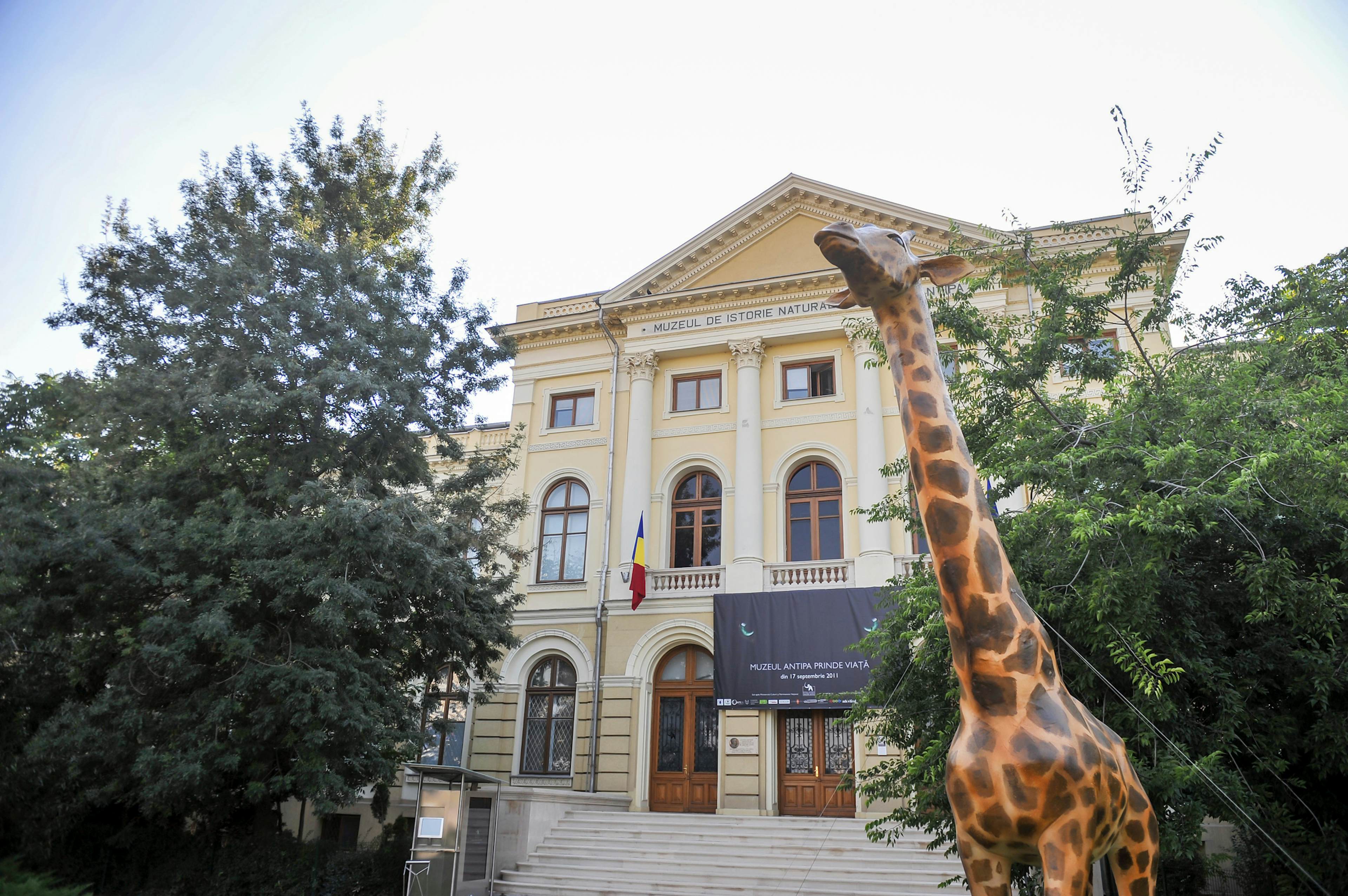 Muzeul de Stiinte Naturale Grigore Antipa (Museum of Natural Sciences)
