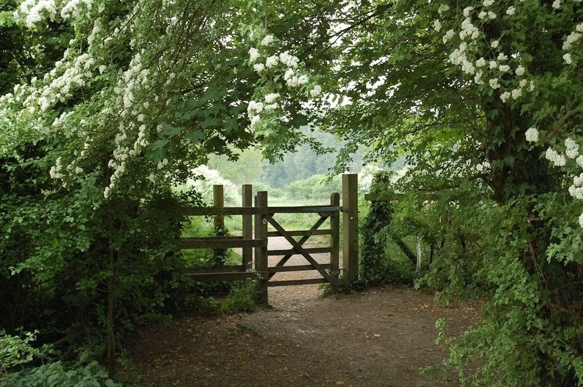 Quest image