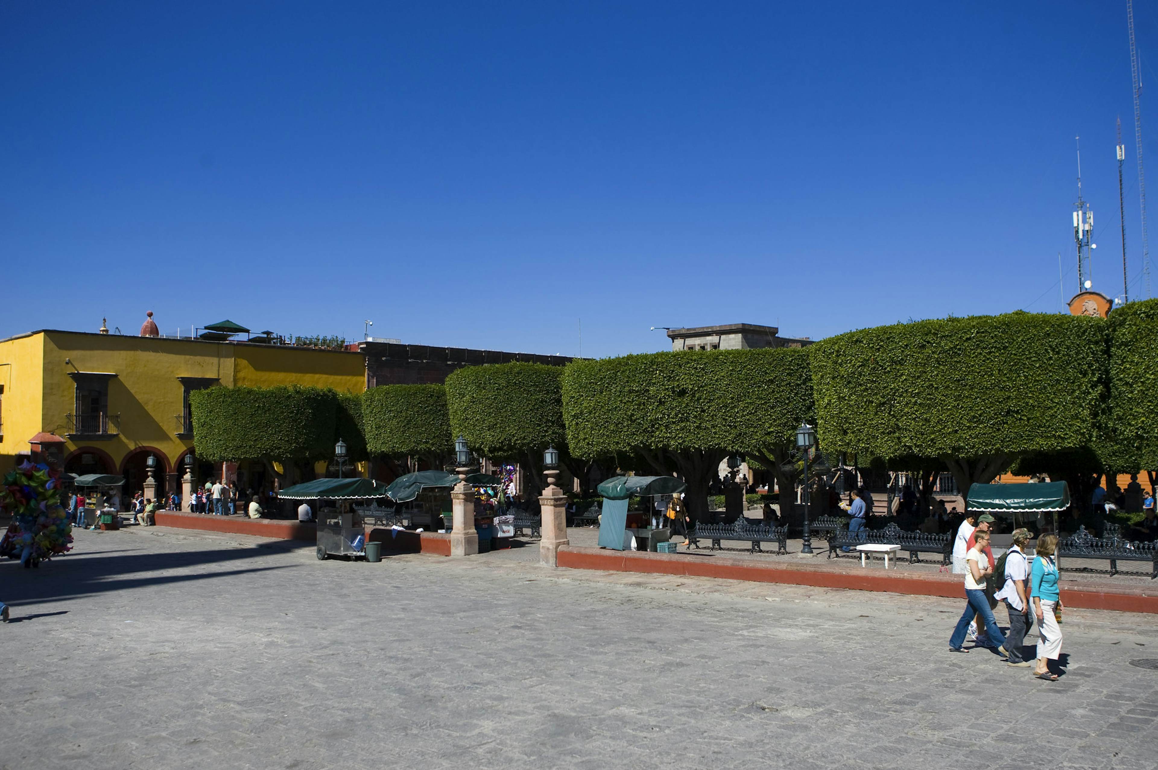 Jardin Allende