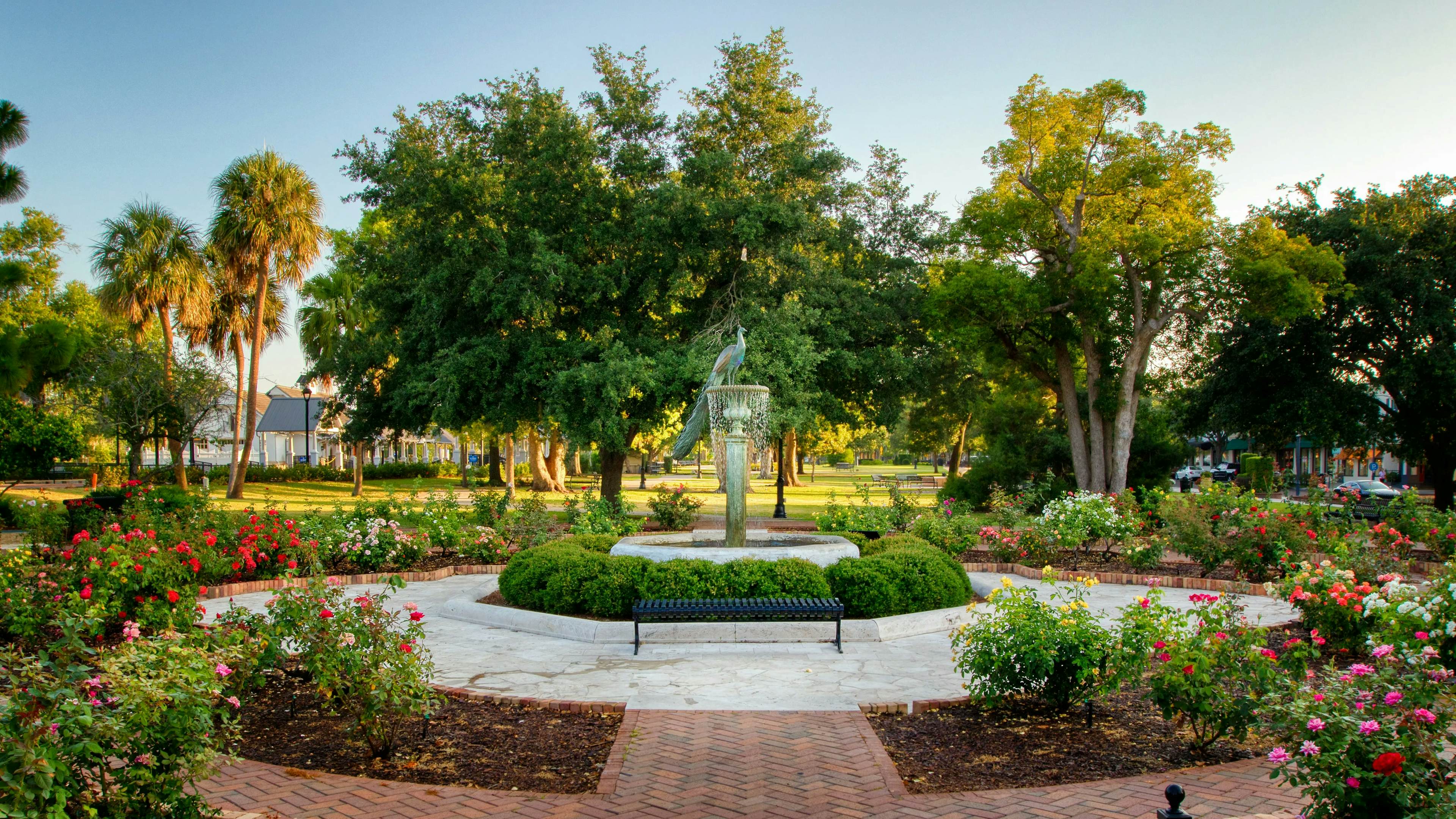 Peacock Fountain