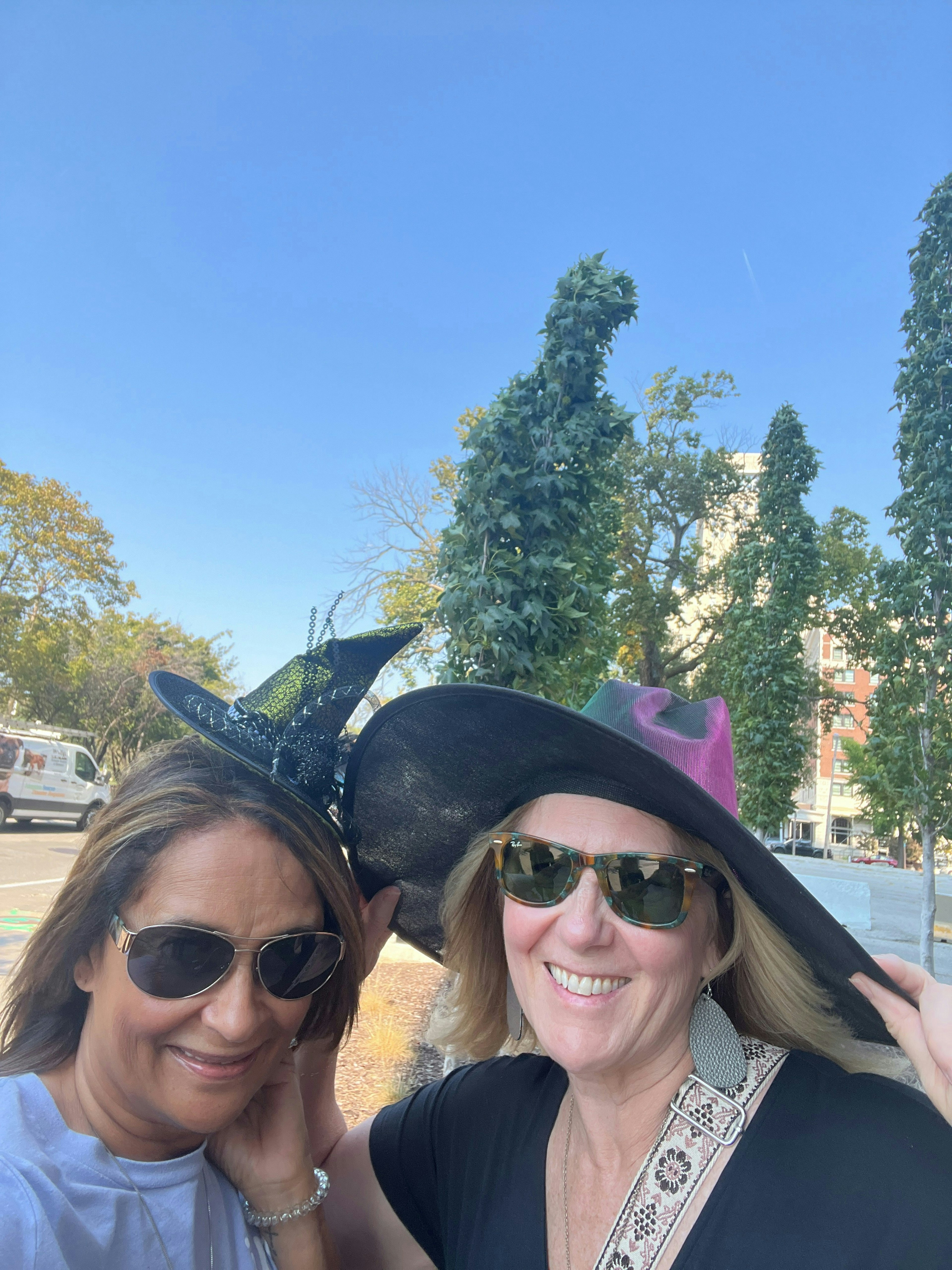 The Oz Escape: A Wicked Glitch in St. Louis second image