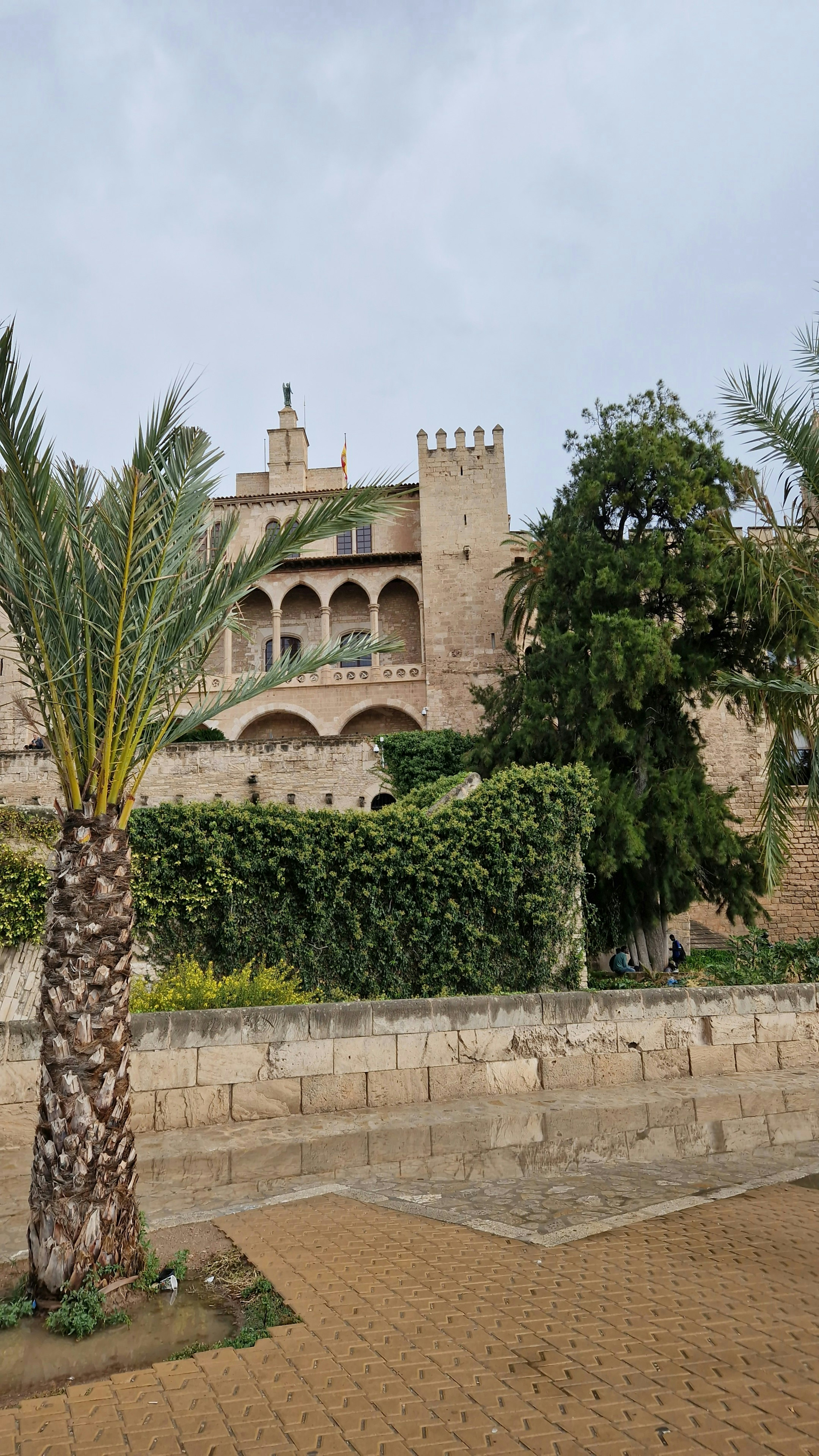 From Castle to Palma Master second image