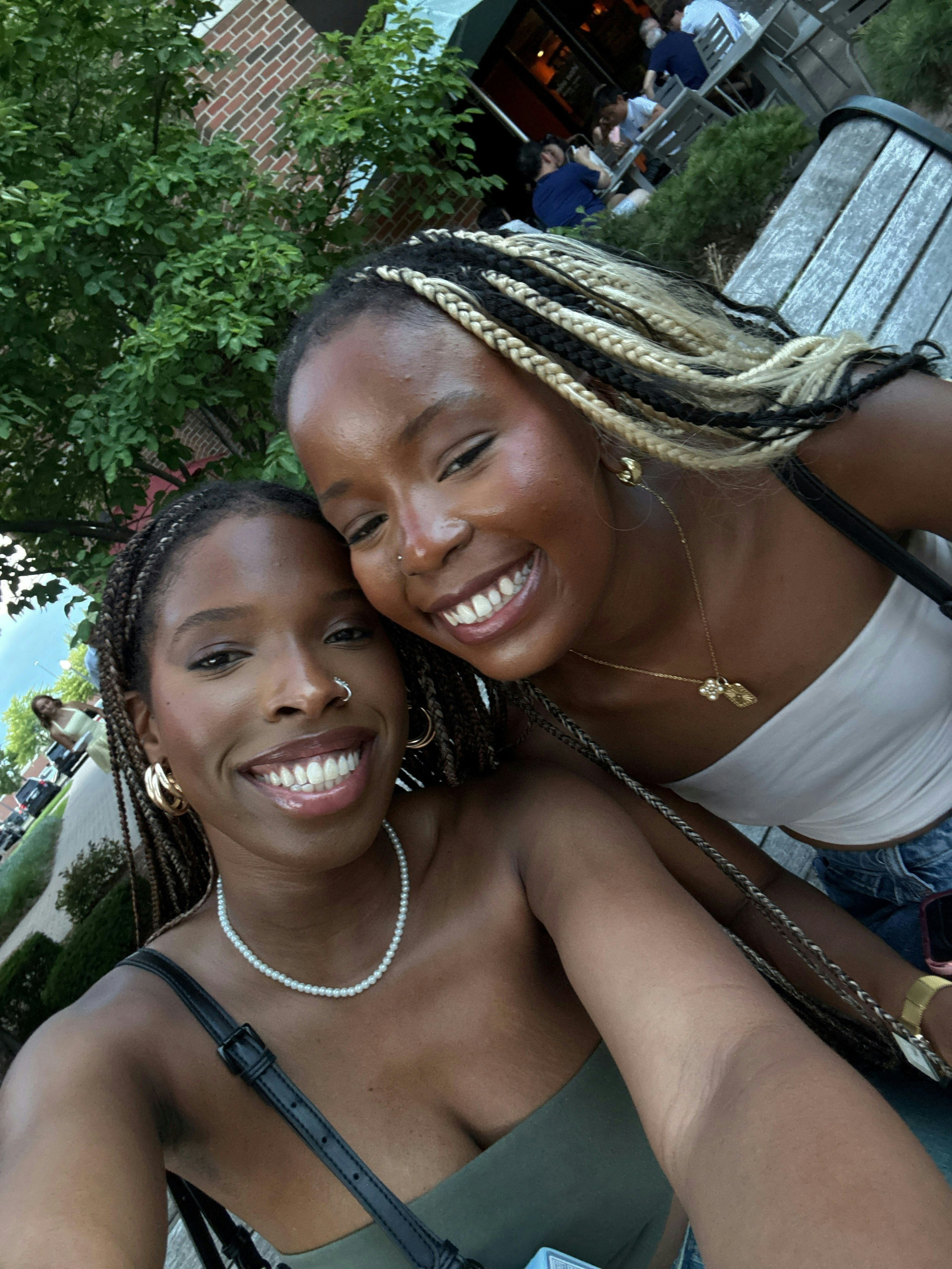 Holland Detective Mystery: Infiltrate a Secret Society! image 2