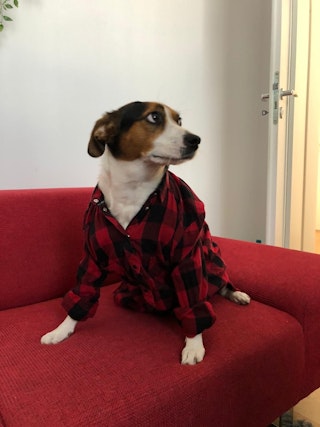 Victor Zamfir, quest creator on Questo