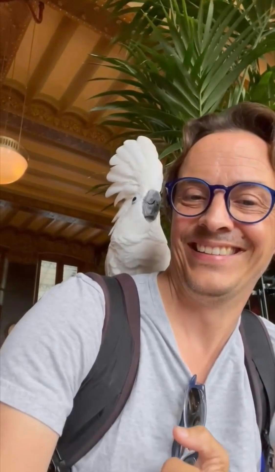 Stephan, Amsterdam Experiences