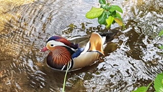 ParkHunts, quest creator on Questo