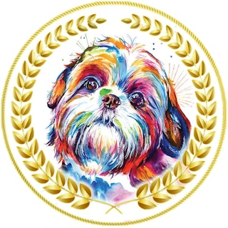 Team Skitty, quest creator on Questo