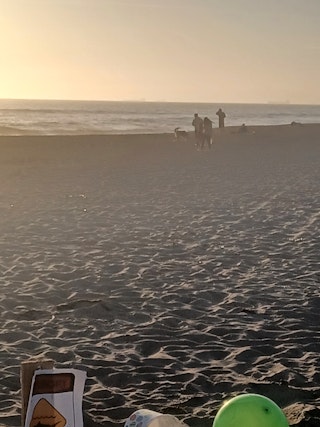 Ladyt3390 Johnson, quest creator on Questo